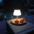 Lapa-solarna-stolowa-pelagia-04371 (3).webp