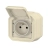 gniazdo-hermetyczne-bezowe-ip55-plexo-079776L (3).webp