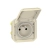 gniazdo-hermetyczne-ip55-piaskowe-plexo-069828L-legrand (1).webp