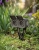 Gemini_Generated_Image_5oirtf5oirtf5oir (1).jpg