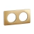 ramka-podwojna-mosiadz-satynowy-CP1202-celiane (1).webp