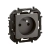 LG-NP3101MG-WEB-R.webp