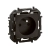 LG-NP3101BK-WEB-R.webp