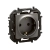 LG-NP3122MG-WEB-R.webp