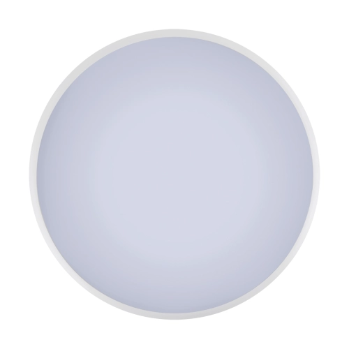 04808_1.webp