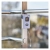 3690008.webp